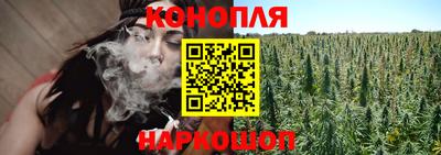 трава Будённовск