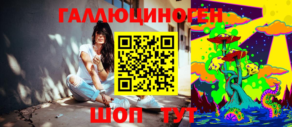 Тосно  Псилоцибиновые грибы Psilocybine cubensis  Вход с VPN 