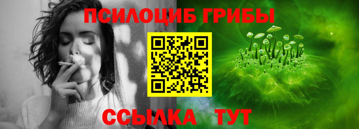 Псилоцибиновые грибы ЛСД Тосно